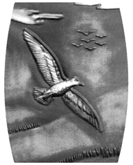 DAREC 512 SL Birds Silver